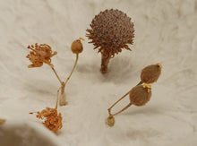 Charger l'image dans la galerie, A l'ombre du tilleul