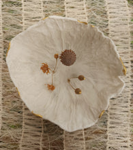 Charger l'image dans la galerie, A l'ombre du tilleul