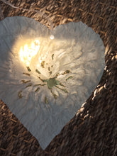 Charger l'image dans la galerie, Collection Coeur "Eclats d'or" 7