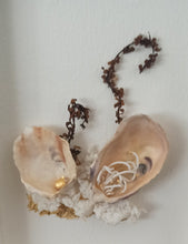 Charger l'image dans la galerie, Tableau Huitre III