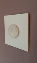 Charger l'image dans la galerie, Cosmos 3