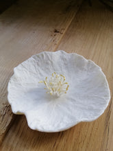 Charger l'image dans la galerie, "Belle"