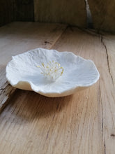 Charger l'image dans la galerie, "Belle"