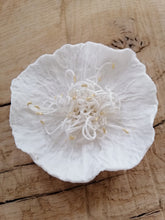 Charger l'image dans la galerie, Sensible