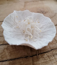 Charger l'image dans la galerie, Sensible