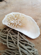 Charger l'image dans la galerie, Trésor de la Mer " Anémone de mer"