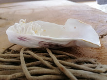 Charger l'image dans la galerie, Trésor de la Mer " Pics et Pépite"