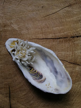 Charger l'image dans la galerie, Trésor de la Mer " Fleur de mer"
