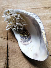 Charger l'image dans la galerie, Trésor de la Mer " Fleur de mer"