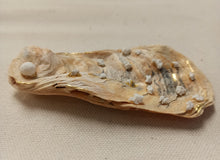 Charger l'image dans la galerie, Trésor de la Mer "Préférée 2"