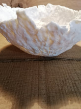 Charger l'image dans la galerie, Sauvage I