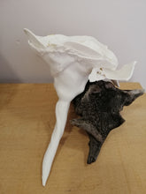 Charger l'image dans la galerie, "Précieuse" fleur de porcelaine et feuilles d'or