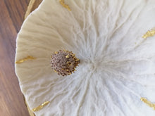 Charger l'image dans la galerie, Unique