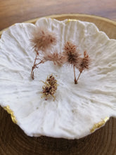 Charger l'image dans la galerie, Rose poudrée