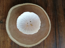 Charger l'image dans la galerie, "Muscaris dorés"