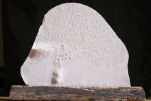 Charger l'image dans la galerie, Lithophanie "Majestueux"